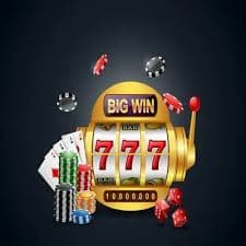 mn77 login